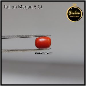 Real Red Coral Stone